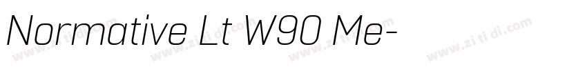 Normative Lt W90 Me字体转换